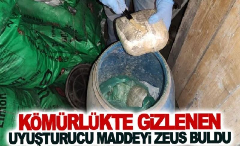 Kömürlükte gizlenen uyuşturucu maddeyi Zeus buldu