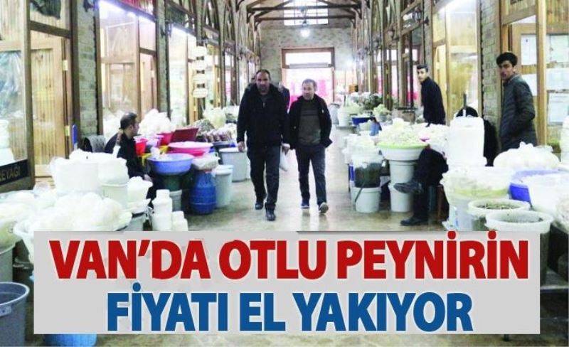 Otlu peynirin fiyatı 45 TL'yi buldu