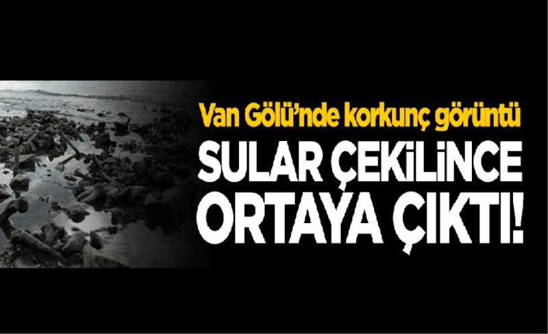 Van Gölü'nde korkunç görüntü! Sular çekilince ortaya çıktı