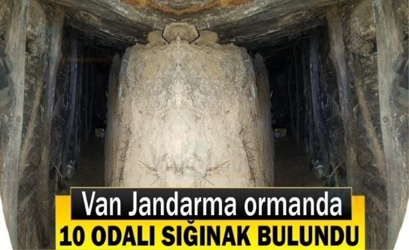 Van Jandarma ormanda 10 odalı sığınak bulundu