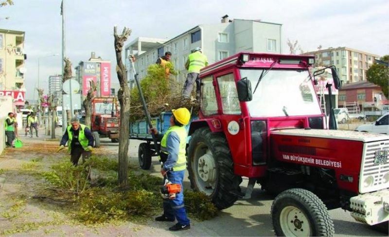 Van’da ağaç budama ve temizlik çalışması