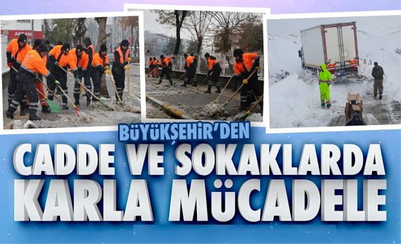 Van’da karla mücadele çalışması