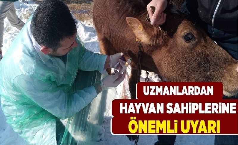 Çetin: Hayvanlarda yavru atma vakaları bulaşıcı