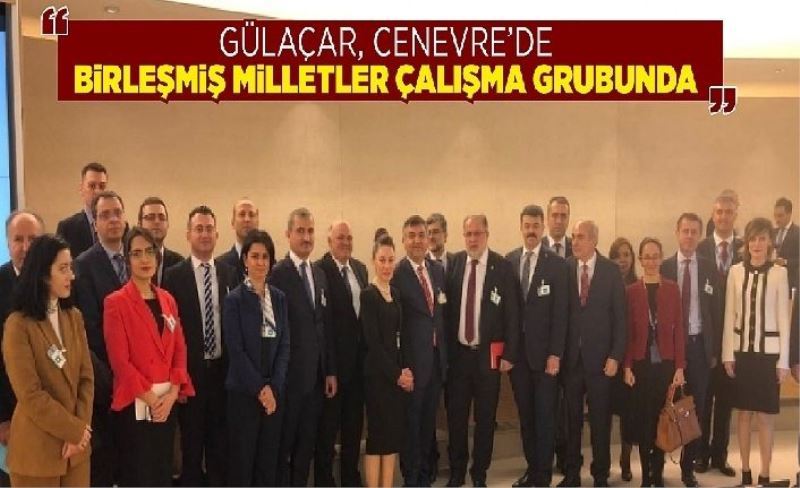 Gülaçar, Cenevre’de Birleşmiş Milletler Çalışma Grubunda