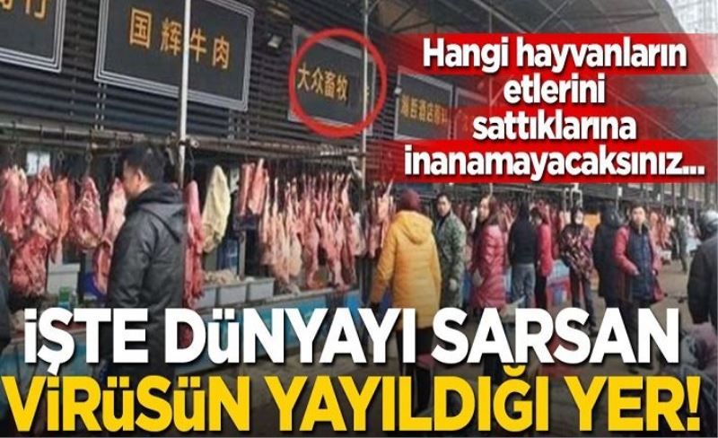 İşte dünyayı sarsan virüsün yayıldığı yer!