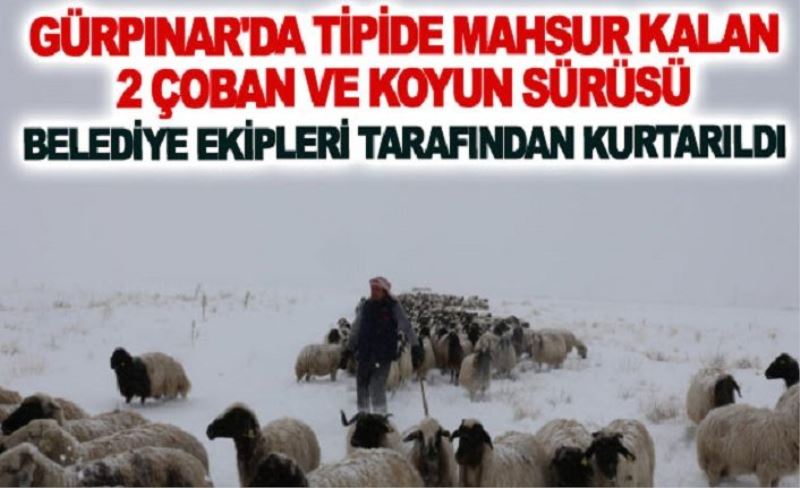 Tipide mahsur kalan 2 çoban ve koyun sürüsü belediye ekipleri tarafından kurtarıldı