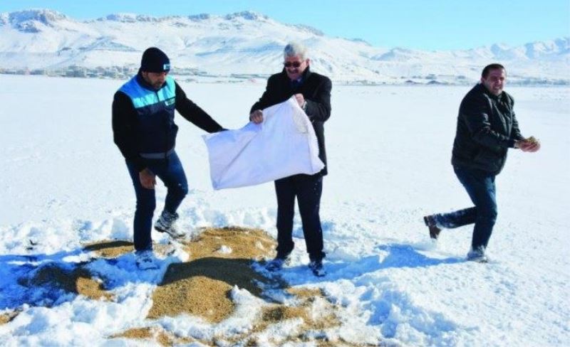 Tuşba Belediyesi, yaban hayvanları için doğaya yem bıraktı