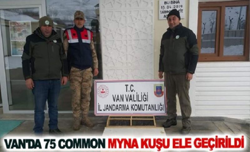 Van'da 75 Common Myna kuşu ele geçirildi