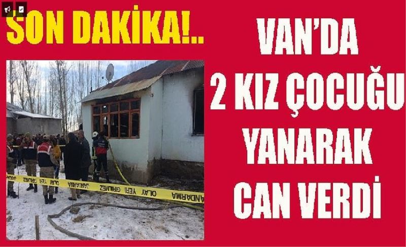 Van'da çıkan yangında 2 kardeş can verdi