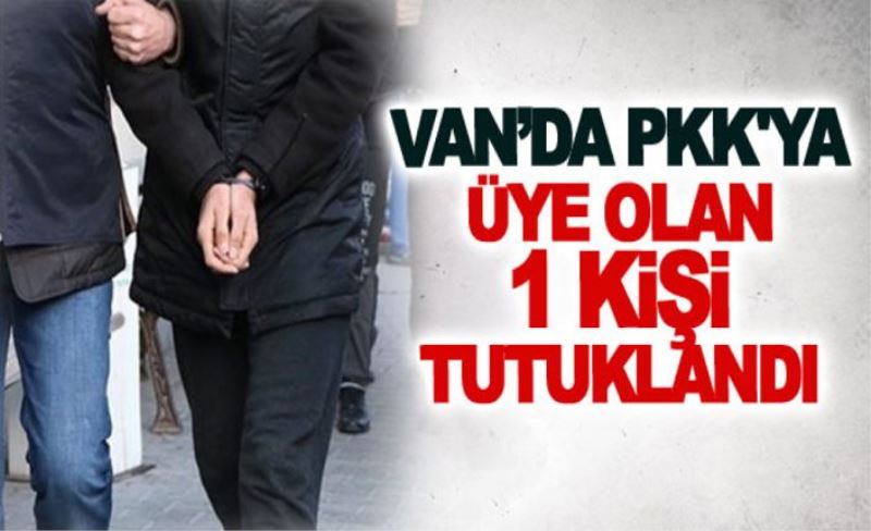 Van’da Pkk'ya üye olan 1 kişi tutuklandı