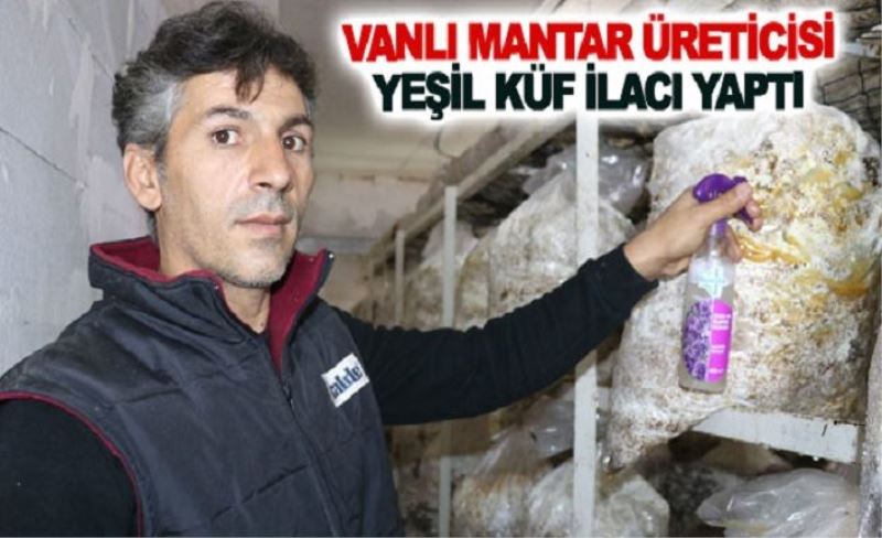 Vanlı mantar üreticisi yeşil küf ilacı yaptı