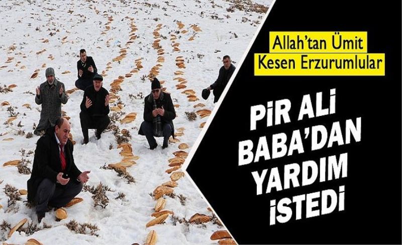 Allah'tan ümidini kesen Erzurumlu bazı gruplar Pir Ali Baba'dan yardım istedi