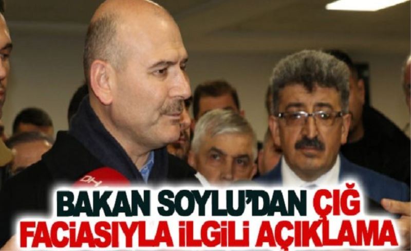 Bakan Soylu’dan çığ faciasıyla ilgili açıklama