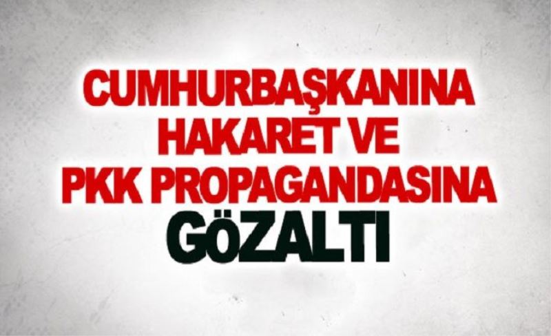 Cumhurbaşkanına hakaret ve Pkk propagandasına gözaltı