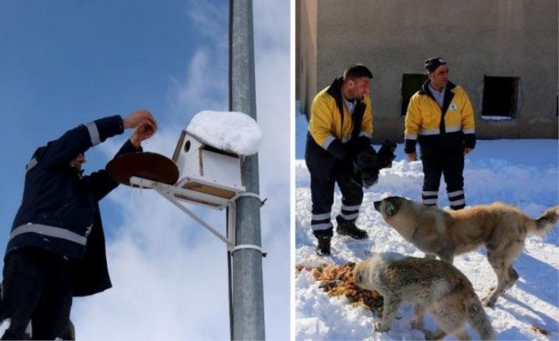 Gürpınar Belediyesi, hayvanlar için yem bırakıyor