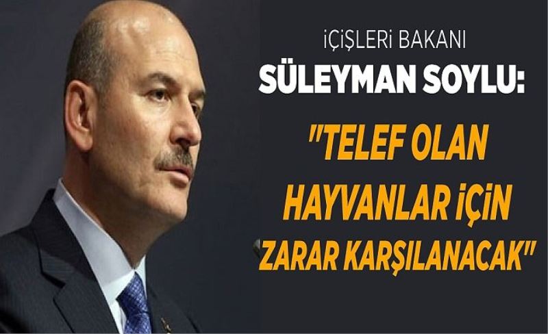 İçişleri Bakanı Süleyman Soylu: "Telef olan hayvanlar için zarar karşılanacak"