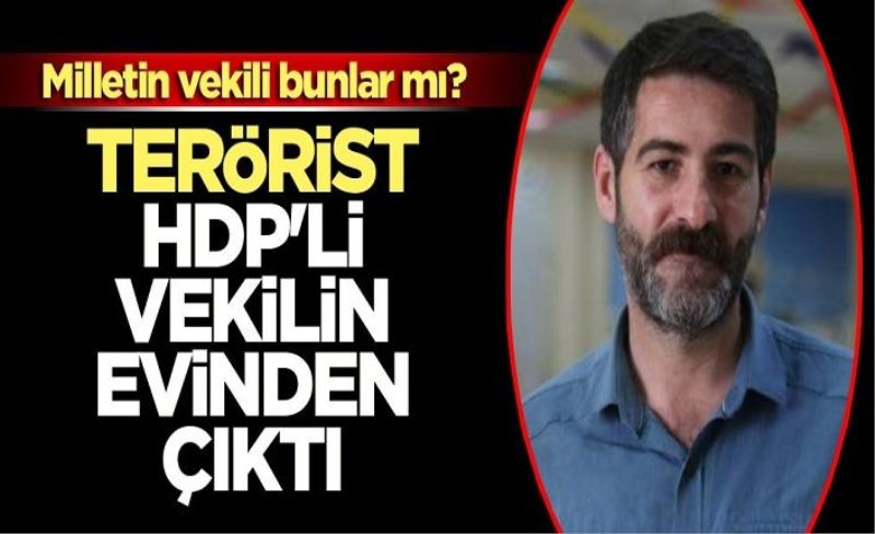 Milletin vekili bunlar mı? PKK'lı terörist HDP'li vekilin evinden çıktı