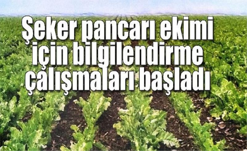 Şeker pancarı ekimi için bilgilendirme çalışmaları başladı