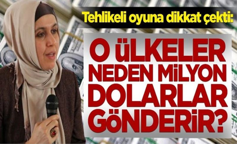 Sema Maraşlı tehlikeli oyuna dikkat çekti: O ülkeler neden milyon dolarlar gönderir?