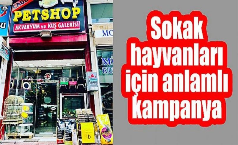 Sokak hayvanları için anlamlı kampanya