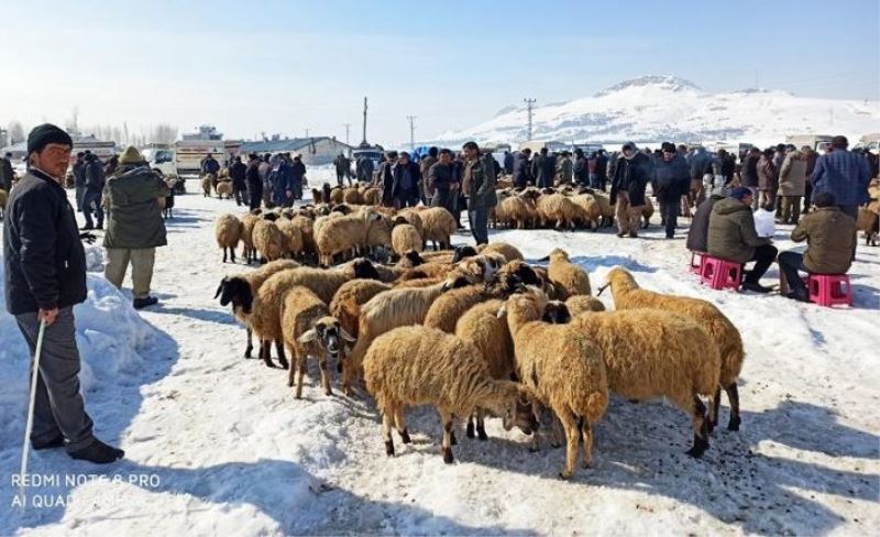 Tuşba Ziraat Odası yetkilileri hayvan pazarında sorunları dinledi