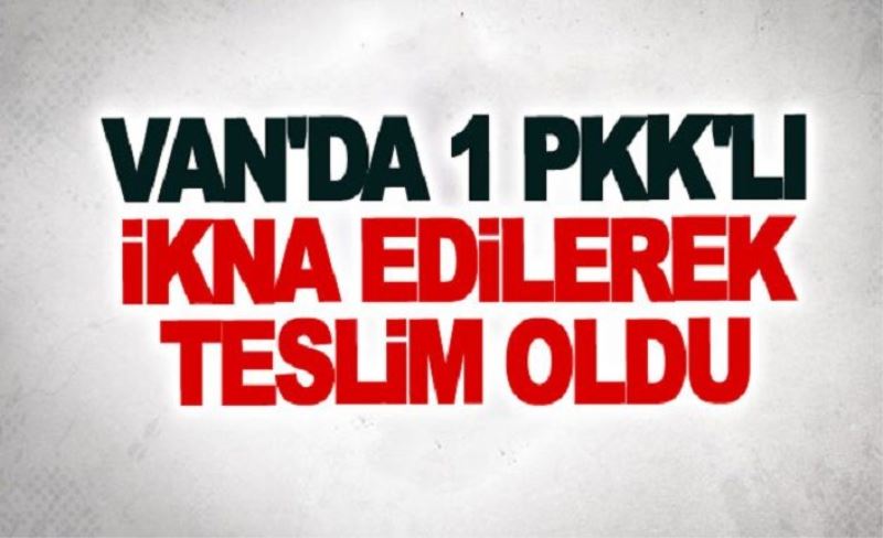 Van'da 1 Pkk'lı ikna edilerek teslim oldu