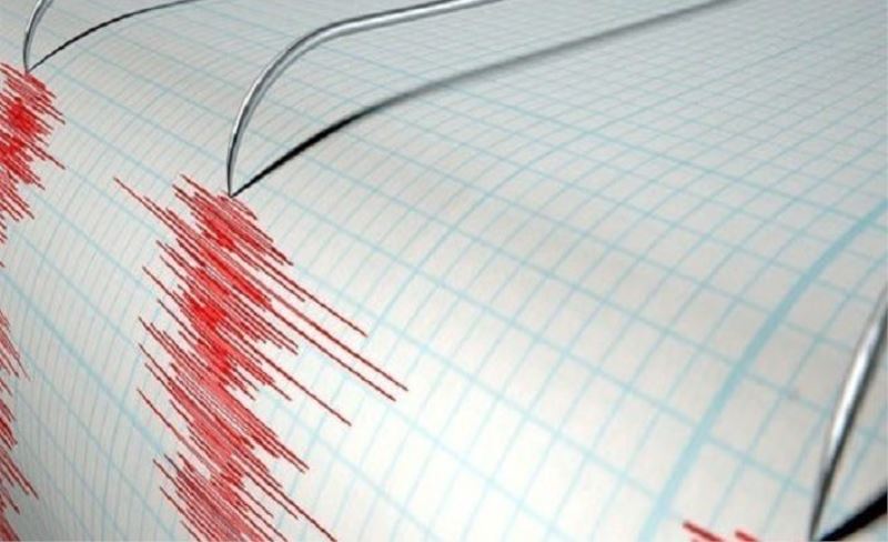 Van'da korkutan deprem