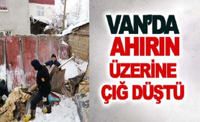 Van’da ahırın üzerine çığ düştü