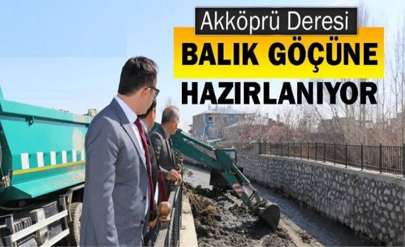 Akköprü Deresi, DSİ tarafından temizleniyor