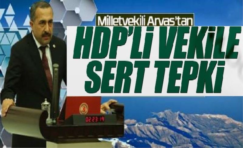 Arvas’tan, HDP’li vekile sert tepki…