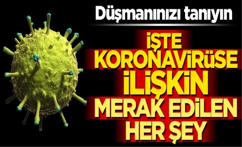 Bunları herkes bilmeli! İşte koronavirüse ilişkin merak edilen her şey