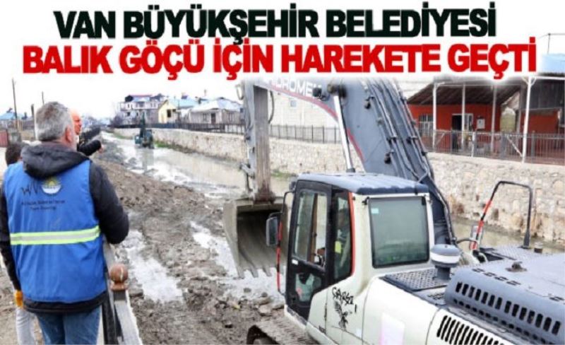 Büyükşehir belediyesi balık göçü için harekete geçti