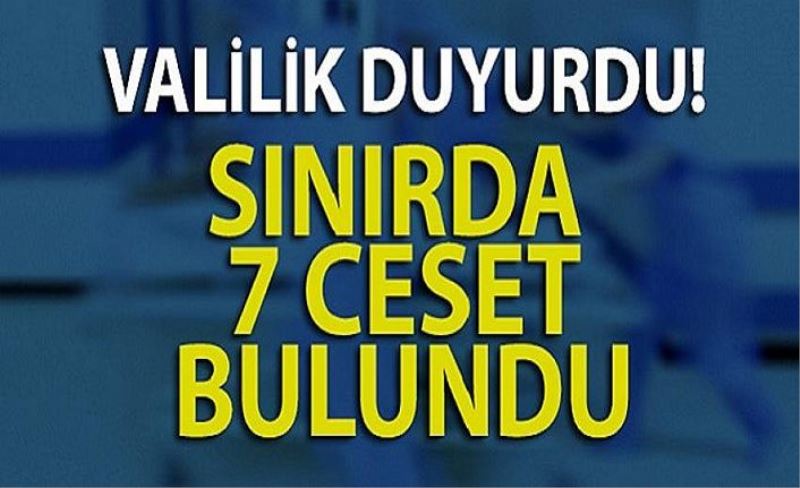 Çaldıran'da 7 ceset bulundu