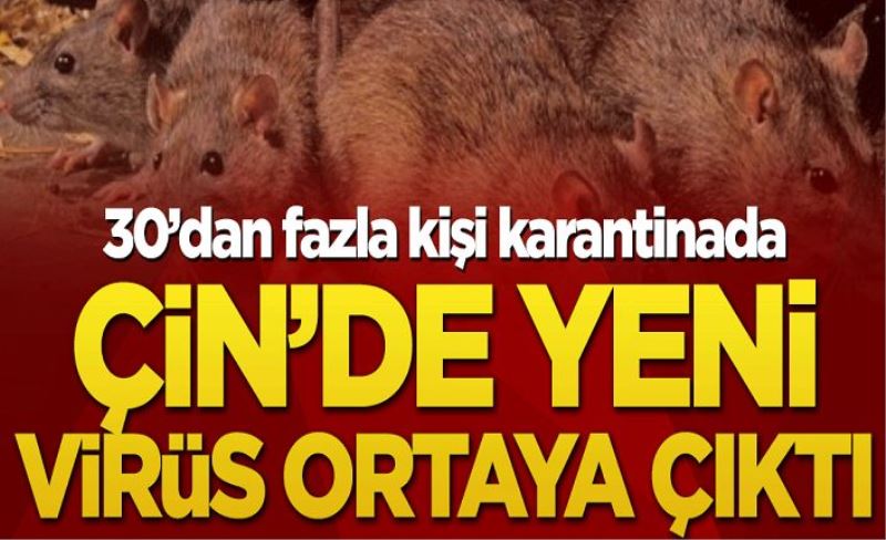 Çin’de yeni virüs ortaya çıktı! 30’dan fazla kişi karantinada