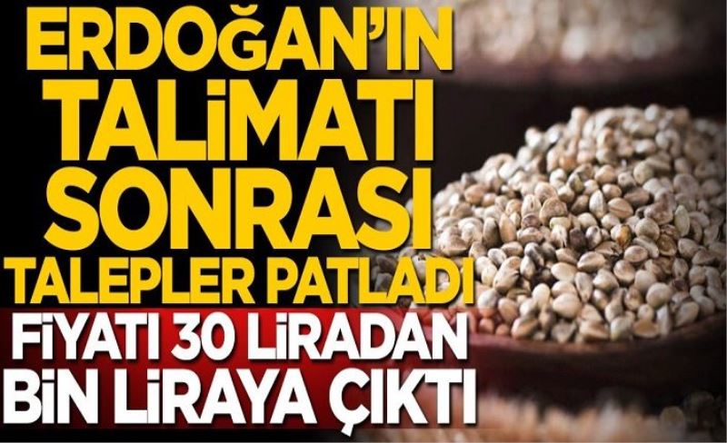 Cumhurbaşkanı Erdoğan'ın talimatı sonrası talepler patladı, fiyatı 30 liradan bin liraya çıktı