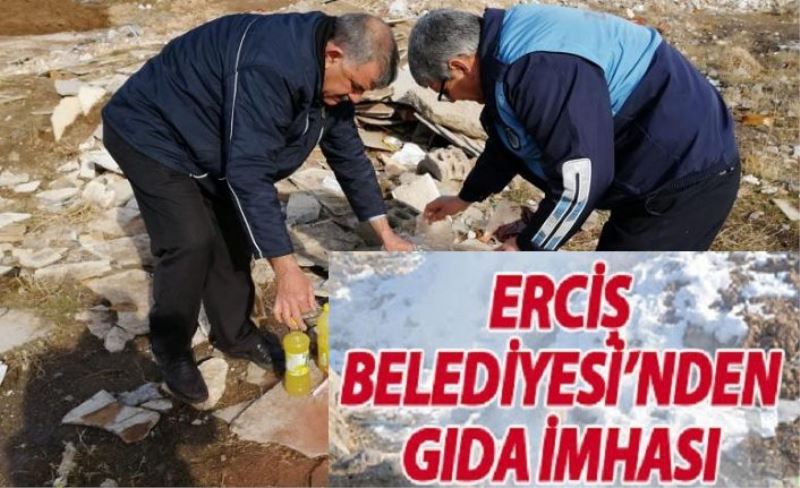 Erciş'te tarihi geçmiş gıdalar imha edildi