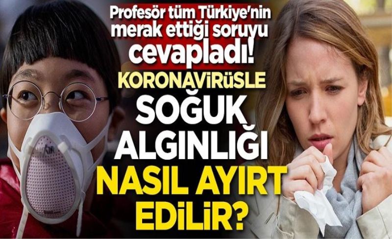 Profesör tüm Türkiye'nin merak ettiği soruyu cevapladı! Koronavirüs ile soğuk algınlığı nasıl ayırt edilir?
