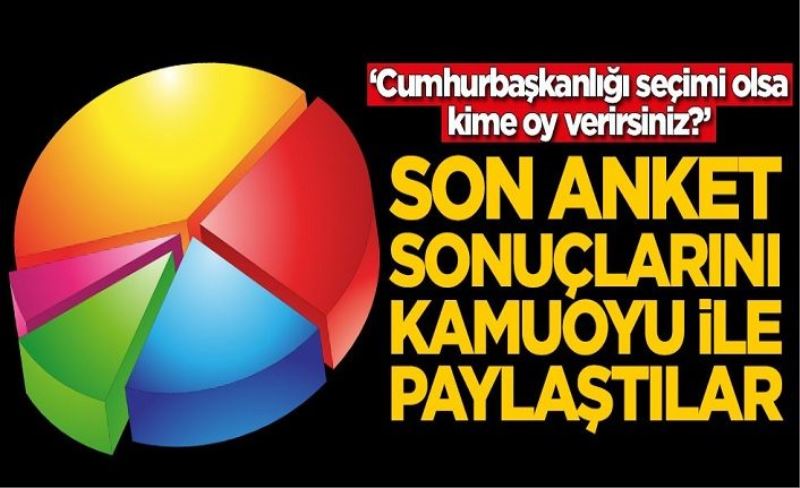 Son anket sonuçlarını açıkladılar! İşte oy oranları