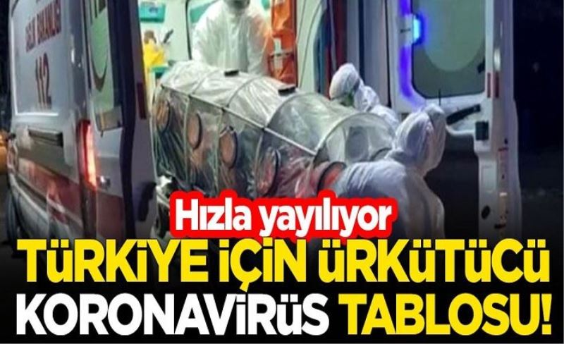 Türkiye için ürkütücü koronavirüs tablosu! Hızla yayılıyor