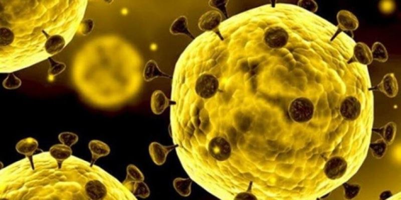 Uluslararası bilim ekibi açıkladı: Koronavirüsün oluşma nedeni...