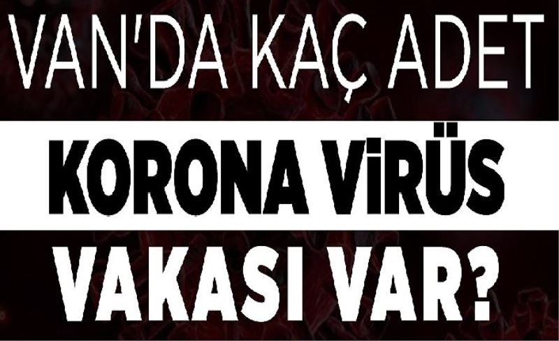 Van'da kaç adet korona virüs vakası var?