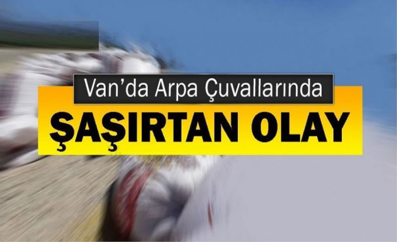 Van’da Arpa Çuvallarında Şaşırtan Olay