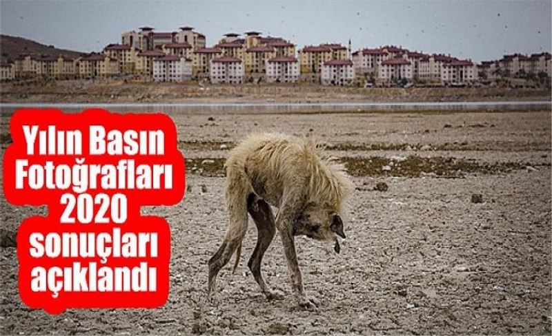 ‘Yılın Fotoğrafı’ Van’da çekildi