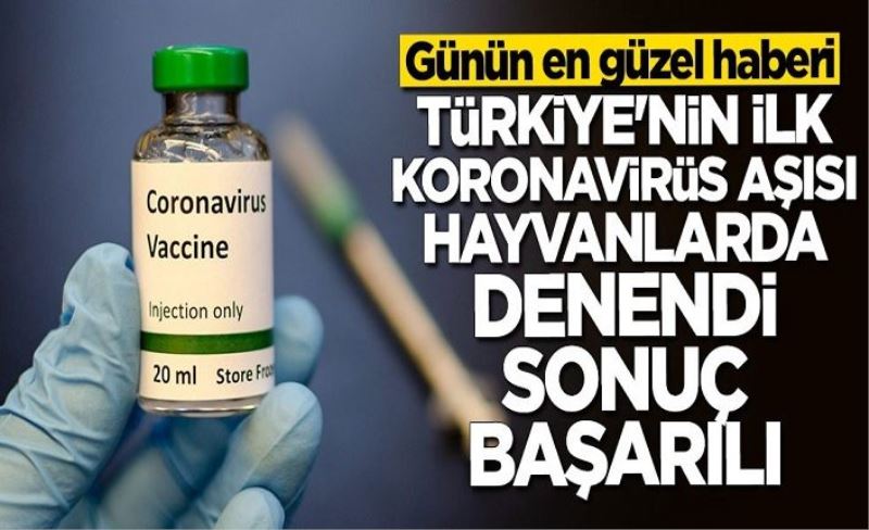 Bilim Kurulu Üyesi Ateş Kara açıkladı: Türkiye'nin ilk koronavirüs aşısı hayvanlar üzerinde denendi sonuç başarılı