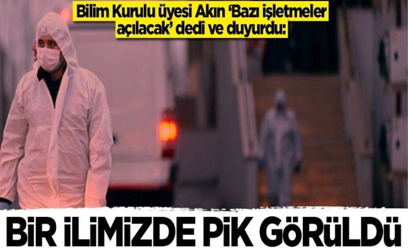 Bilim Kurulu üyesi Levent Akın: Bir ilimizde pik yaşandı