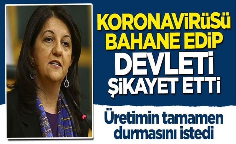 Derdi aslında çok başka! Koronavirüsü bahane eden HDP'li Pervin Buldan "üretim dursun" dedi