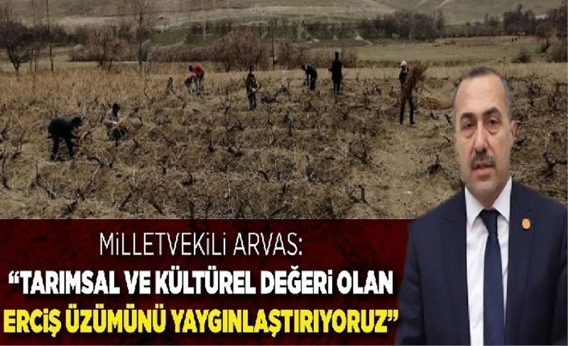 Milletvekili Arvas: “Tarımsal ve kültürel değeri olan Erciş üzümünü yaygınlaştırıyoruz”