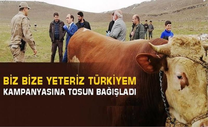 Tuşba'daki çiftçi, kampanyaya tosun bağışladı