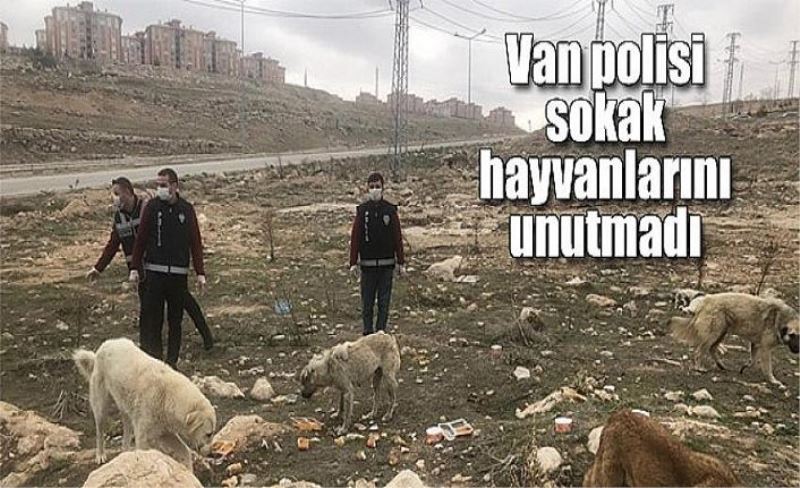 Van polisi sokak hayvanlarını unutmadı