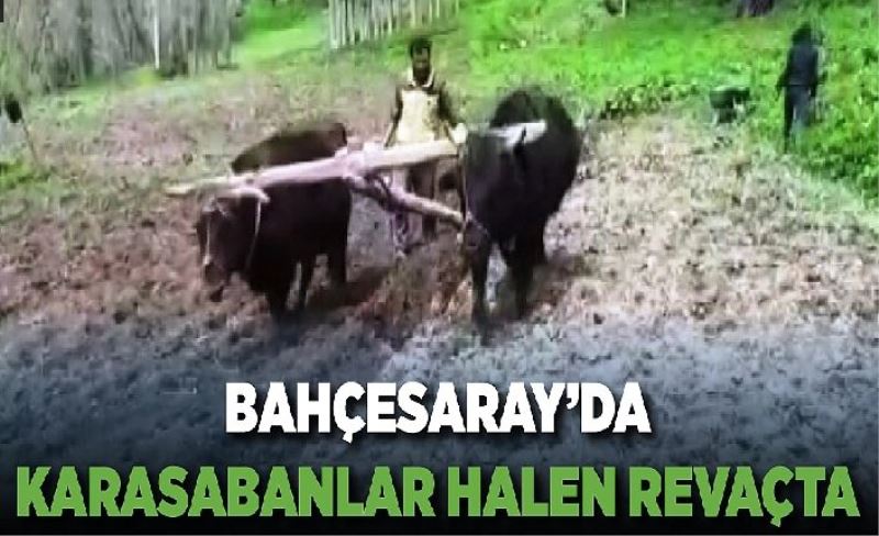 Bahçesaray’da Karasabanlar halen revaçta